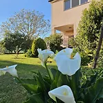 Casa Da Billy