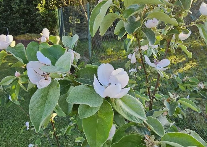 Casa Da Billy 아파트 *